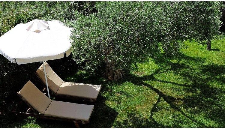 Trikorfo Beach Hotel - NR, Халкидики